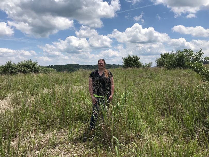 WVU graduate student Brianna Mayfield stands in a field of switchgrass on reclaimed mine land. 