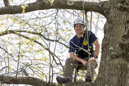Young man smiling in a tree