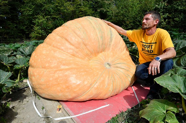 Dustin Trychta and his giant pumpkin, "Pebbles"