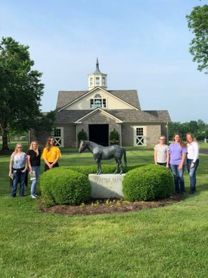 Students participating in Racehorse Industry Tour course