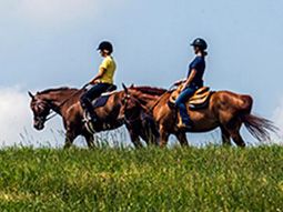 students riding horses at the farm