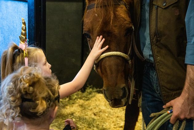Photo of girl in costume petting horse