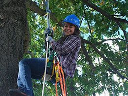 image of student in tree