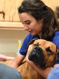 Vet Student with dog