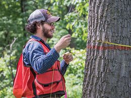 Student measuring width of a tree