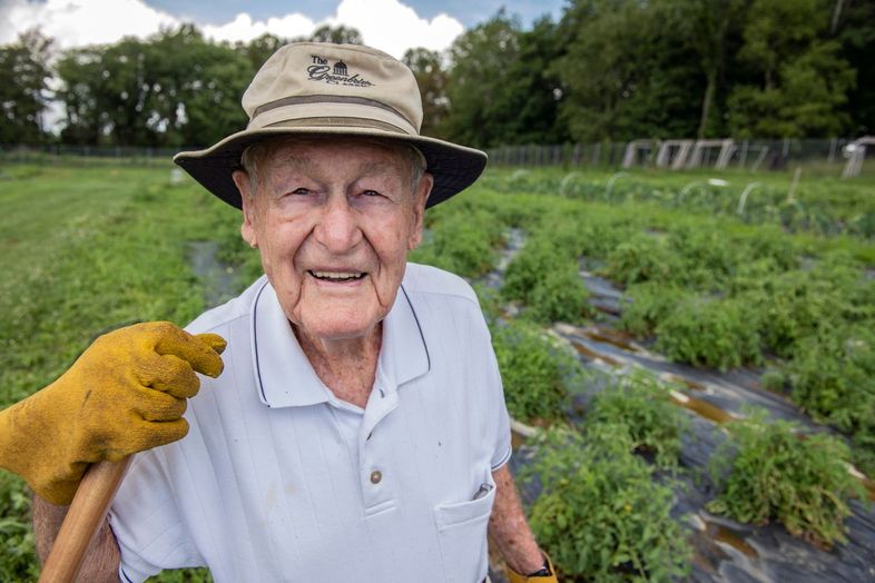 Older man standing in vegetable garden.