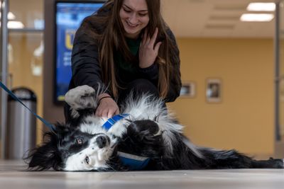Photo of woman petting service dog that lays on the floor