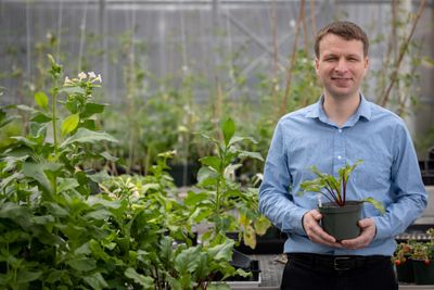 Photo of man holding plant in greenhouse