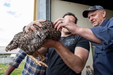Photo of two men holding a chicken