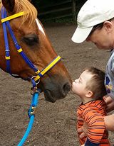 child kissing horse during equine therapy